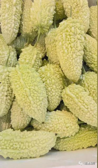 南澳岛吃瓜,瓜果飘香，尽享夏日田园风情