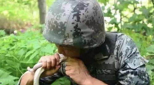 小胖子野外吃瓜,意外邂逅美味瓜果盛宴