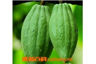 乳瓜咋吃,探索美味新境界