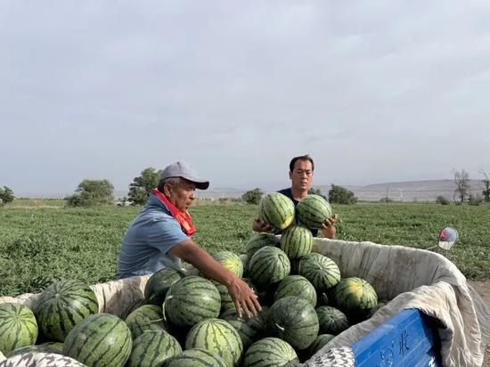 武船吃瓜,揭秘我国海军舰艇的“美食”生活