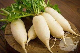 梦见别人吃小白瓜,揭秘梦中他人品尝小白瓜的神秘寓意