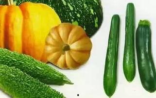 青岛地铁吃瓜墙在线吃瓜,线上线下共赏都市百态