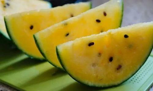 甘肃吃瓜,探寻瓜果飘香的味蕾之旅