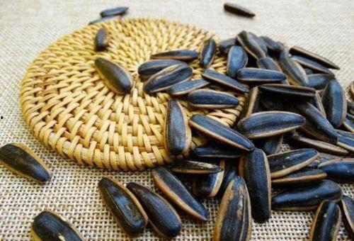 吃瓜推瓜子,揭秘瓜与瓜子的奇妙缘分