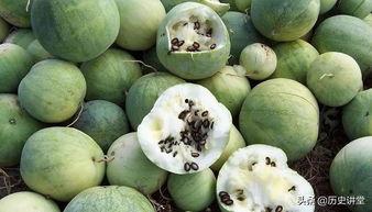 嗑瓜子情侣吃瓜,甜蜜瞬间定格成永恒