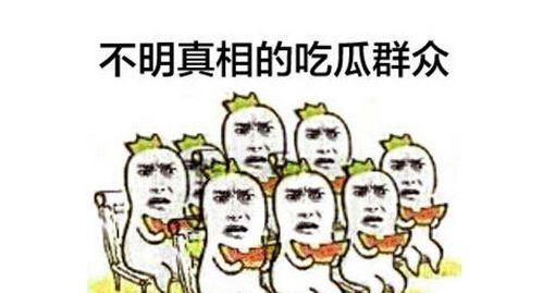 寻求正义吃瓜群众视频