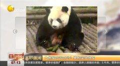 吃瓜哭的视频原版,情感共鸣的瞬间