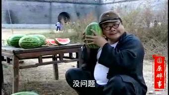 定陶吃瓜事件视频,一场引发热议的网络狂欢