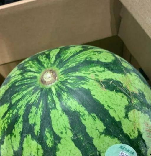 卖瓜的吃瓜的头像,卖瓜人的吃瓜日常