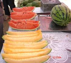 先吃饭再吃瓜,探寻美食与瓜果的完美搭配