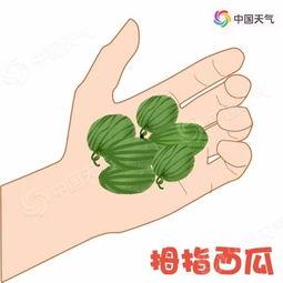 吃瓜没带钥匙,尴尬一幕引网友热议