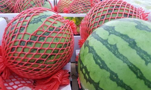 悟 览 吃瓜 器,揭秘现代生活的趣味与智慧