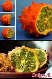 吃角瓜吓坏老外,角瓜美食挑战老外味蕾极限