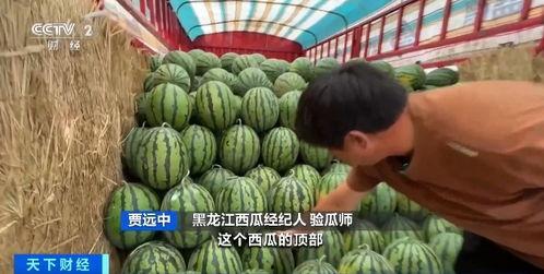 舞蹈家吃瓜,舞蹈家们的趣味食趣