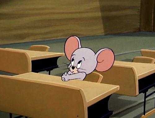 自由吃瓜基地姐姐,揭秘网络红人的幕后生活