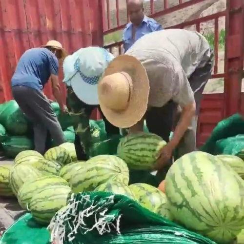 山东梁山吃瓜群众