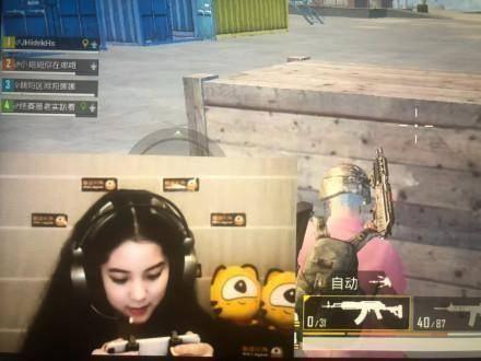 呆呆瓜直播吃鸡,趣味横生的欢乐盛宴