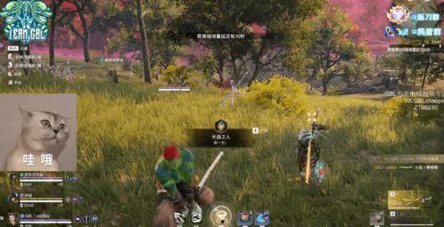 神超godlike吃瓜,揭秘电竞圈吃瓜大事件