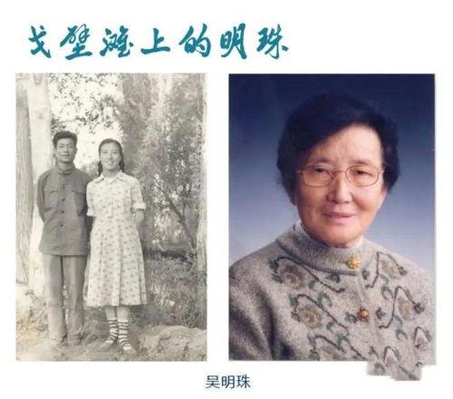 在年代文里吃瓜翟佰里,翟佰里的吃瓜传奇