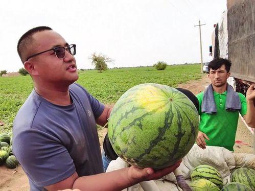 王龙吃瓜,揭秘娱乐圈背后的那些事儿