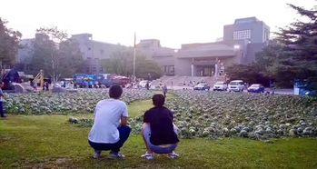 曹县买房吃瓜事件,一场引发热议的“吃瓜”事件深度解析