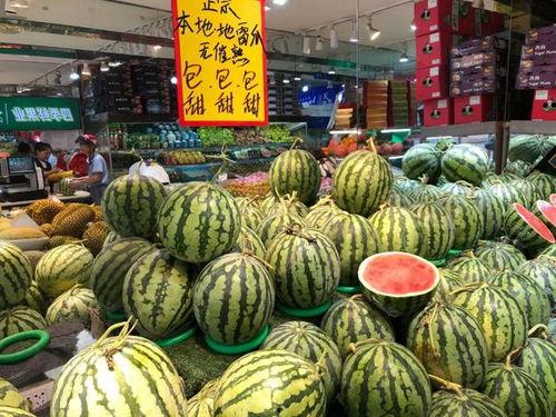 温州叶丛吃瓜,揭秘叶丛吃瓜背后的故事与启示