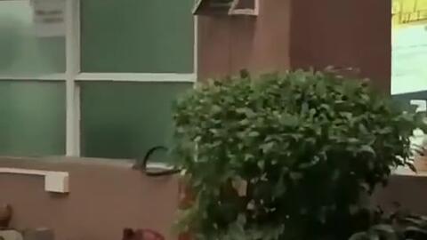 建始吃瓜新闻,揭秘当地热点事件背后的真相