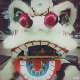 带你吃瓜之舞狮,带你领略“带你吃瓜之舞狮”的独特魅力