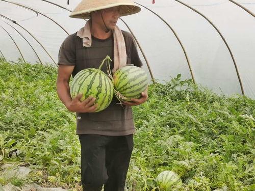 工厂吃瓜群众很多,揭秘工人群体的生活百态