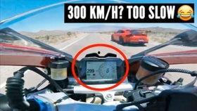 兰博吃瓜一休,揭秘娱乐圈幕后故事