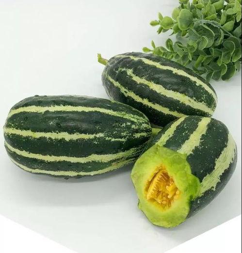 大瓜和小瓜一起吃瓜视频