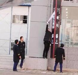 吃瓜群众村主任,揭秘农村基层治理的“瓜田”故事